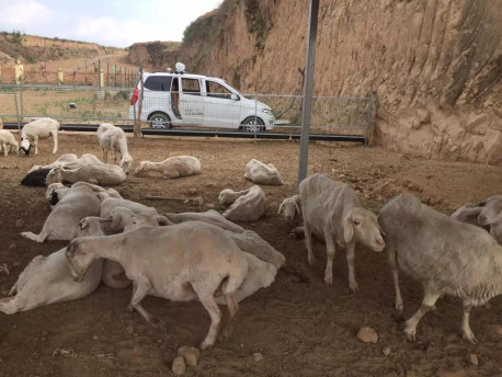 海爾欣自主研發(fā)的開路式氨分析儀先進(jìn)科研項(xiàng)目